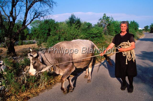 croatie 24.JPG - Agriculture traditionnelleDalmatie du NordCroatie